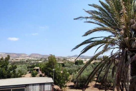 3 chambres House à Maroni, Cyprus No. 83505 14