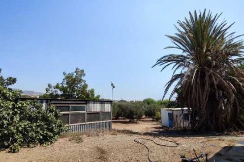 3 chambres House à Maroni, Cyprus No. 83505 6