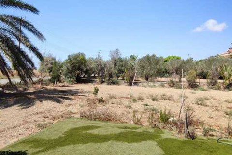 3 chambres House à Maroni, Cyprus No. 83505 8