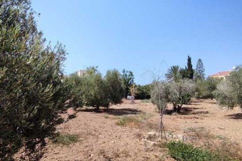 3 chambres House à Maroni, Cyprus No. 83505 5