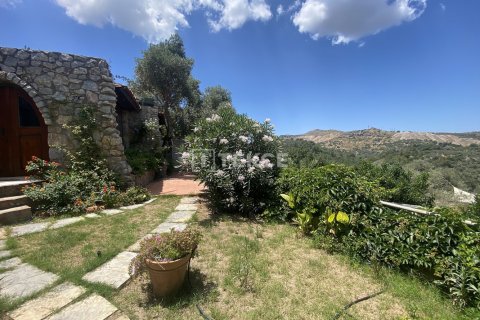 12 chambres Villa à Phi Dien, Vietnam No. 17803 19