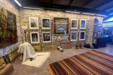 12 chambres Villa à Phi Dien, Vietnam No. 17803 23