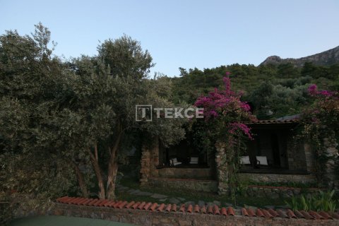 12 chambres Villa à Phi Dien, Vietnam No. 17803 9