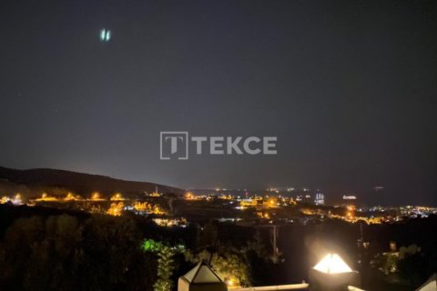 12 chambres Villa à Phi Dien, Vietnam No. 17803 2