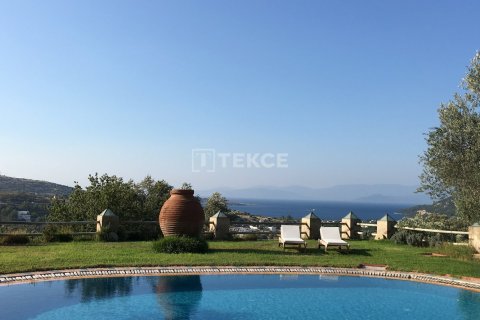 12 chambres Villa à Bodrum, Turkey No. 17803