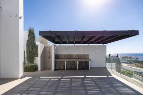 5 bedrooms House in Pegeia, Cyprus No. 81642 12