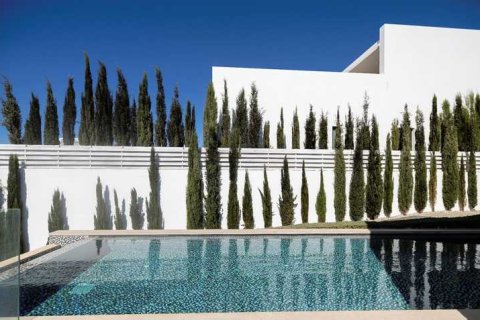 5 bedrooms House in Pegeia, Cyprus No. 81642 4