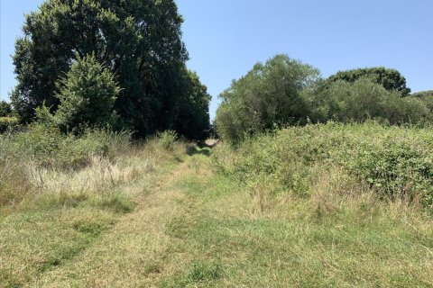 6312m² Land in Chalkidiki, Greece No. 109554 5