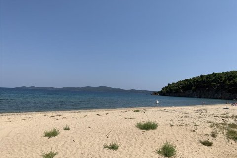 6312m² Land in Chalkidiki, Greece No. 109554 4