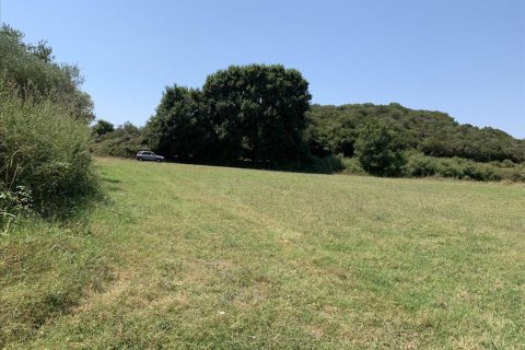 6312m² Land in Chalkidiki, Greece No. 109554 1