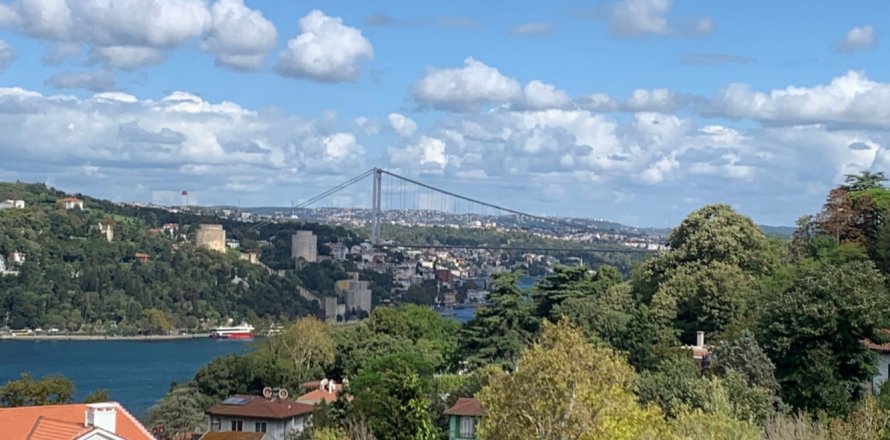 8 bedrooms Villa in Istanbul, Turkey No. 15780