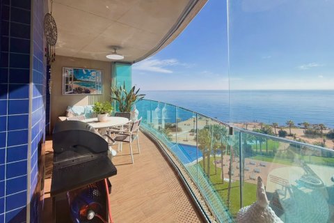 Studio Appartement à Torrevieja, Spain No. 129426
