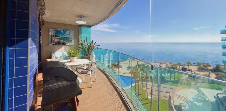 Studio Appartement à Torrevieja, Spain No. 129426