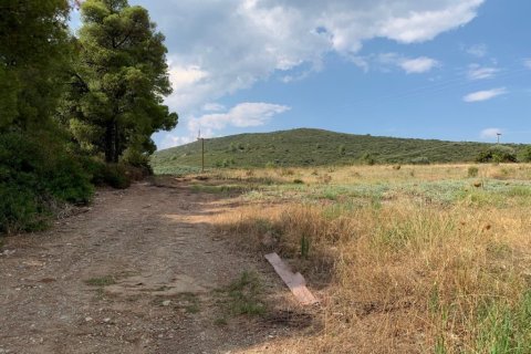 5301m² Land in Polygyros, Greece No. 109560 4