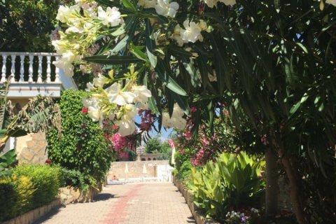 Вилла с 4 спальнями в Tri Phuong, Вьетнам №15326 20