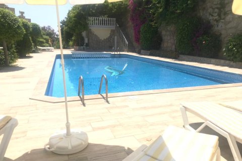 Вилла с 4 спальнями в Tri Phuong, Вьетнам №15326 12