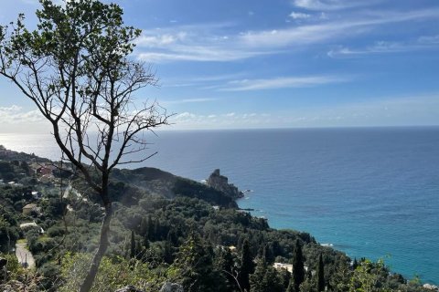 6260m² Land à Corfu, Greece No. 58653 7