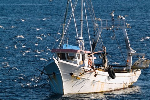 Вилла с 5 комнатами в Аргаласти, Греция №58594 13