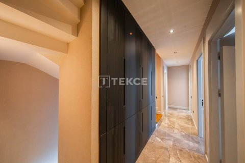 4 chambres Villa à Chau Lang, Vietnam No. 11651 25