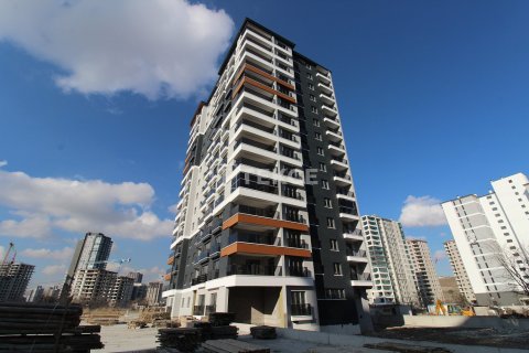 Квартира с 4 спальнями в Куангнгай, Вьетнам №61109 5