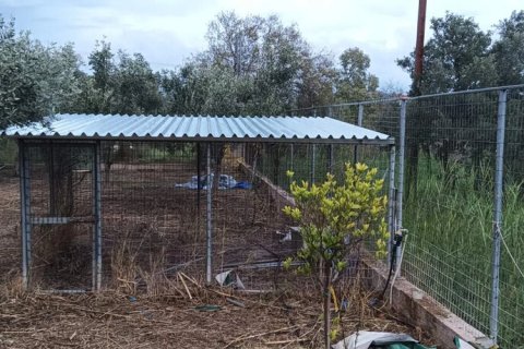 184m² House in Marathon, Greece No. 120855 25