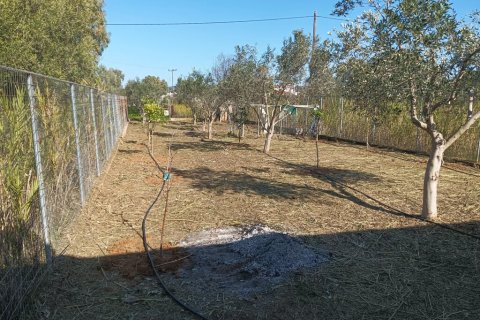 184m² House in Marathon, Greece No. 120855 24