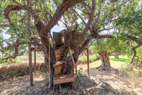 Вилла с 5 комнатами в Ласитион, Греция №59168 7