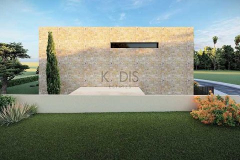 3 chambres House à Nicosia, Cyprus No. 101048 6