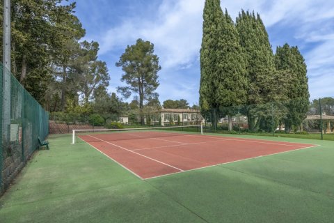 Вилла с 9 спальнями в Мужен, Франция №67214 24