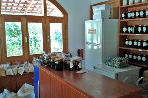 Business in Euboea, Greece No. 109705 9