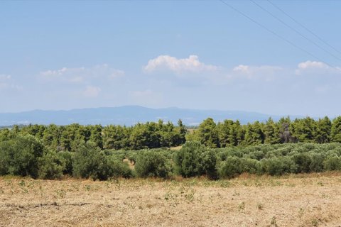 30000m² Land en Chalkidiki, Greece No. 56510 1