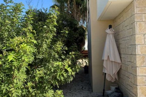 3 dormitorios House en Chloraka, Cyprus No. 70674 3