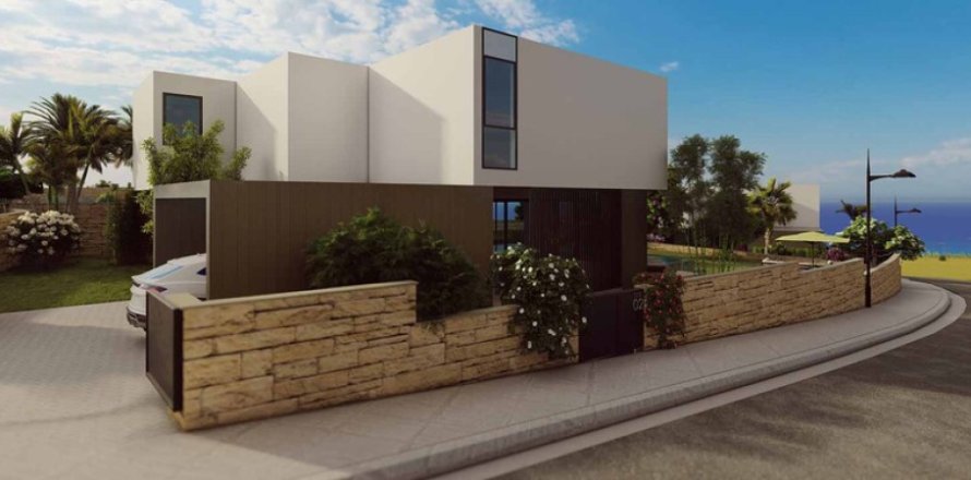 3 chambres Villa à Paphos, Cyprus No. 106900