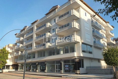 Пентхаус с 3 спальнями в Chau Lang, Вьетнам №10915 2