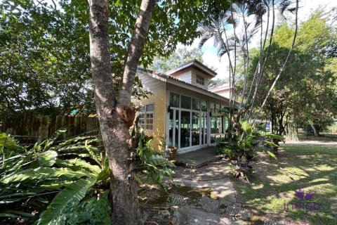 Commercial property en Chiang Mai, Thailand No. 98147 10