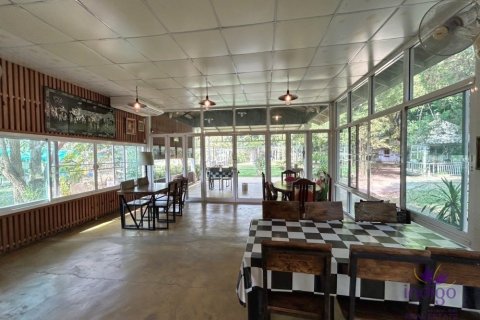 Commercial property en Chiang Mai, Thailand No. 98147 11