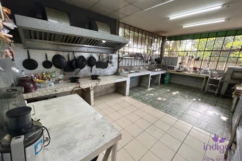 Commercial property en Chiang Mai, Thailand No. 98147 14
