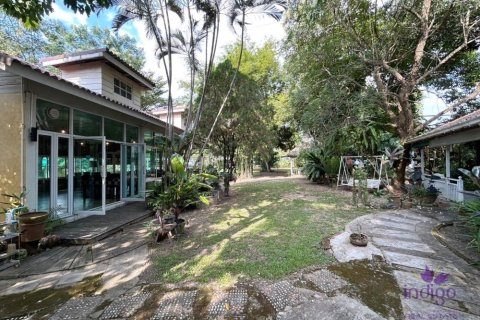 Commercial property en Chiang Mai, Thailand No. 98147 5