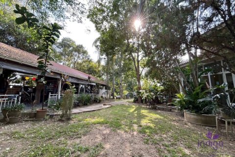 Commercial property en Chiang Mai, Thailand No. 98147 3