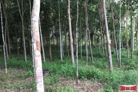 96000m² Land en Phang Nga, Thailand No. 96001 6