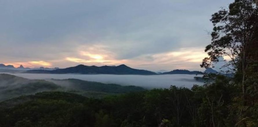 96000m² Land en Phang Nga, Thailand No. 96001