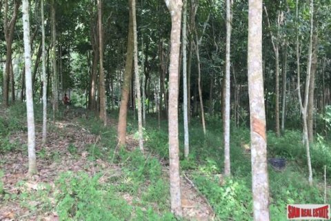 96000m² Land en Phang Nga, Thailand No. 96001 5