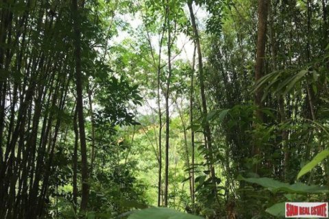 96000m² Land en Phang Nga, Thailand No. 96001 3
