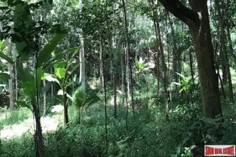 96000m² Land en Phang Nga, Thailand No. 96001 4