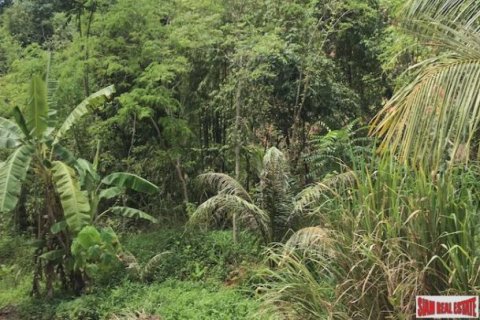 96000m² Land en Phang Nga, Thailand No. 96001 2