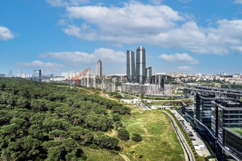 2 bedrooms Apartment in Bach Long Vi, Vietnam No. 17910 2