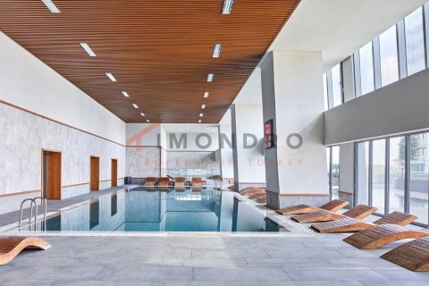 2 bedrooms Apartment in Bach Long Vi, Vietnam No. 17910 19