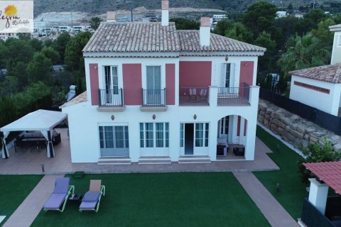 4 bedrooms Villa in Long Dinh, Vietnam No. 84871 25