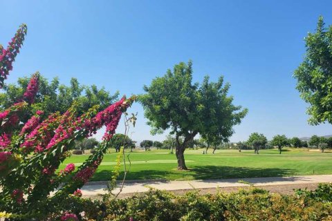 3 chambres House à Paphos, Cyprus No. 76559 3