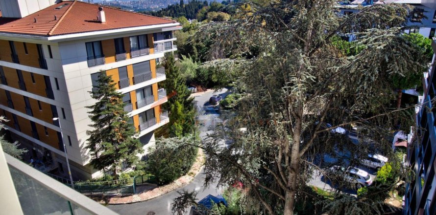 1 bedroom Apartment in Hai Ba Trung, Vietnam No. 117638